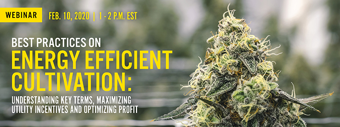 Cannabis Enery Efficient Webinar