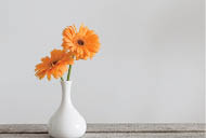 Gerbera in vase on old wooden table