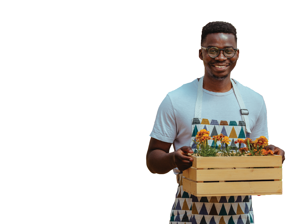 Black man with crate full of plants walking in greenhouse. Florist working in garden center.