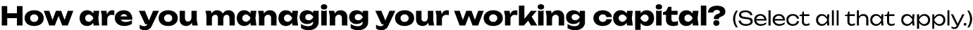 How are you managing your working capital? (Select all that apply.) 