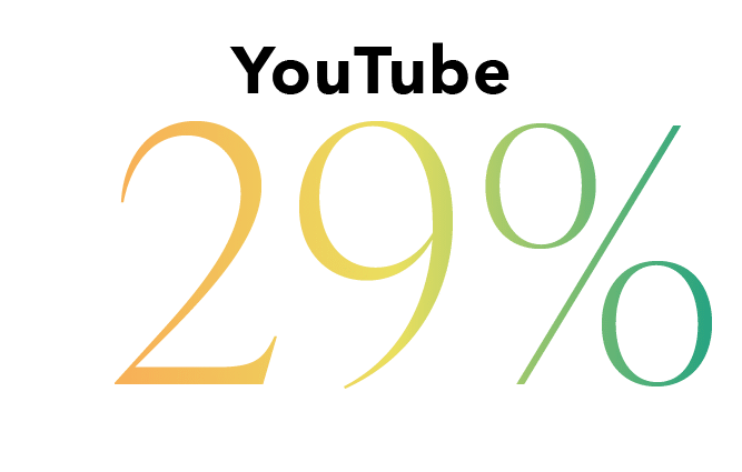 YouTube 29%