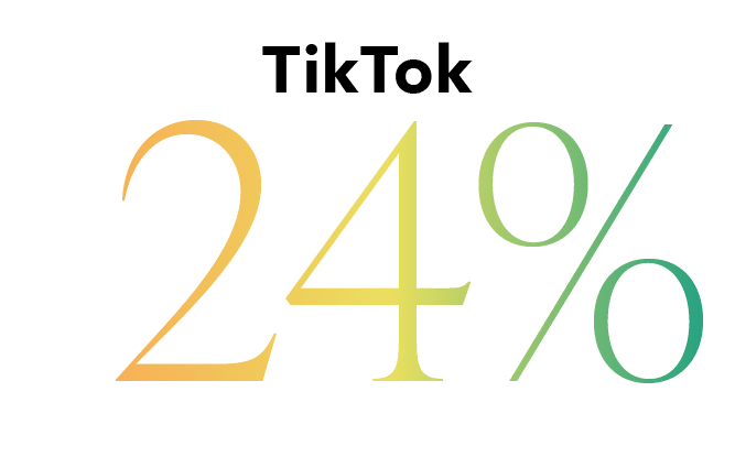 TikTok 24%