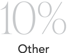 10% Other