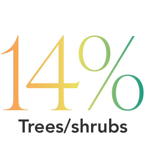14% Trees/shrubs