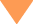 orange triangle