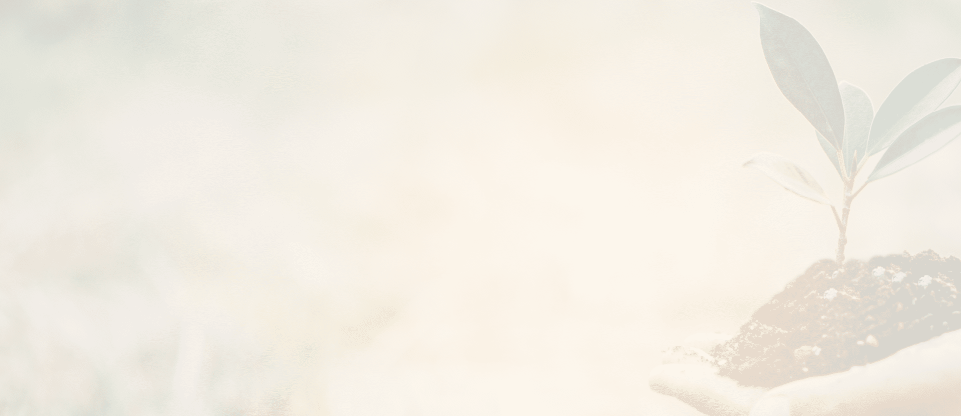 Two hands of was carrying of potting seedlings to be planted into the soil.- concept love world