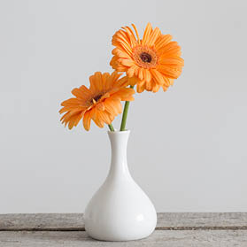 Gerbera in vase on old wooden table