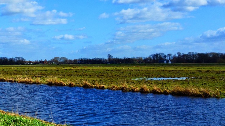 Romaine Lettuce E. Coli Outbreak Linked to Canal Water - Quality ...