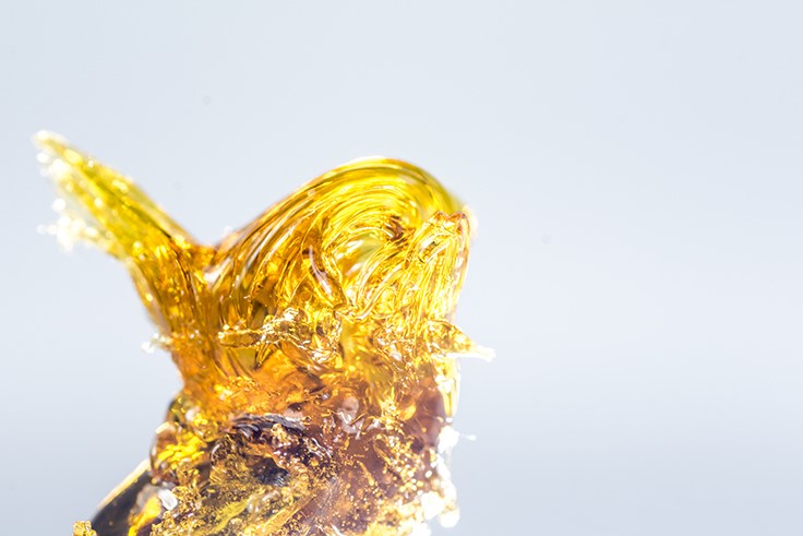 Your Guide To Cannabis Extracts And Concentrates: Part I - Cannabis ...