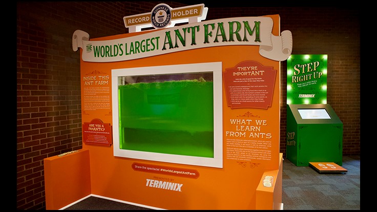 Terminix Service Awarded Guinness World Record for World's Largest Ant ...