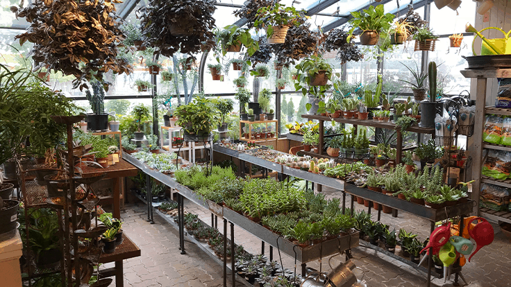 Allisonville Nursery Garden Home