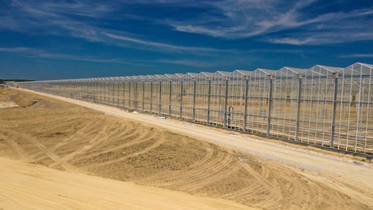 Kentucky based AppHarvest to go public Produce Grower