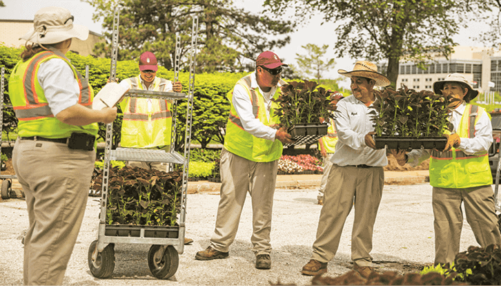 Focal Pointe Outdoor Solutions