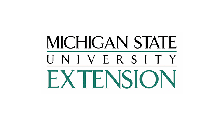 Michigan State launches online 'College of Knowledge' courses