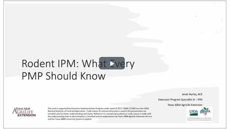 Webinar: Rodent IPM: What Every PMP Should Know - Pest Control Technology