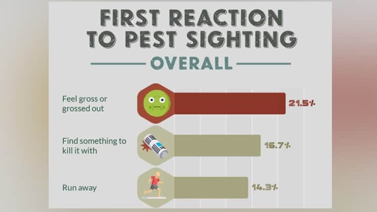 Pest Strategies Asks: How Do People React to Pest Sightings? - Pest ...