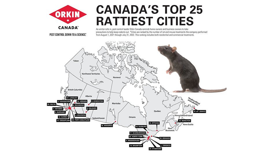 Orkin Names Canada’s Rattiest Cities - Pest Control Technology