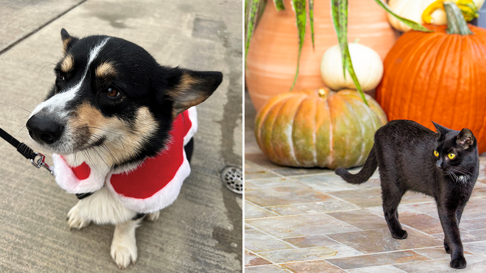Pets and plants for all seasons Garden Center