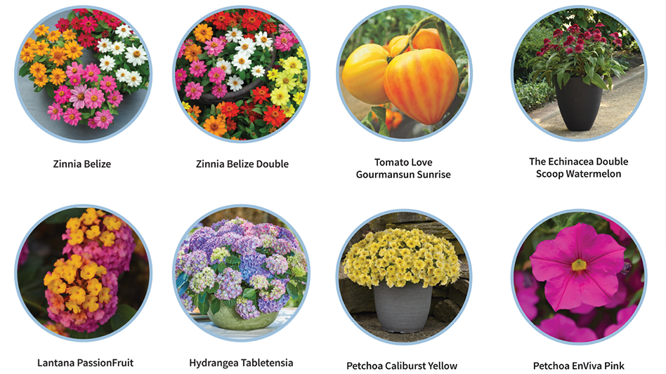 Stars of the show Garden Center