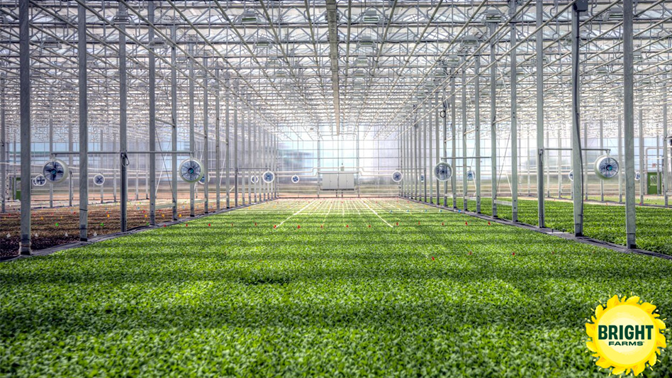 BrightFarms Adds Four Regional Greenhouse Hubs - Produce Grower