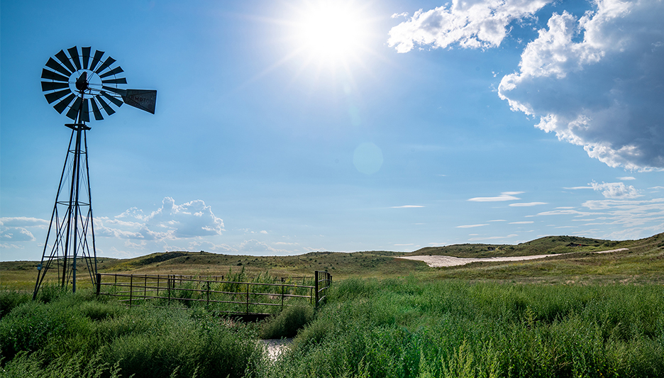 Dormie Network selects turf leader for its first new project Golf Dormie Network selects turf leader for its first new project Golf