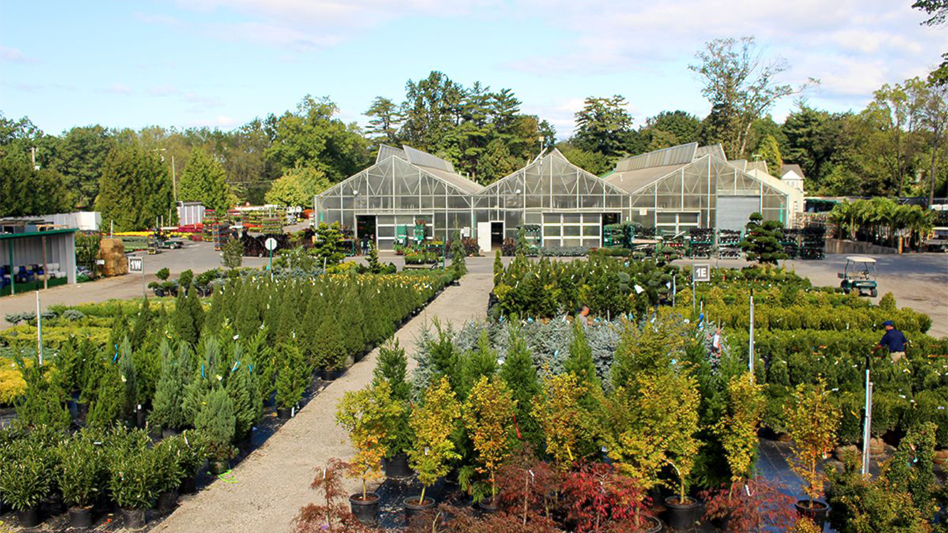 Hicks Nurseries celebrates 170 years Garden Center