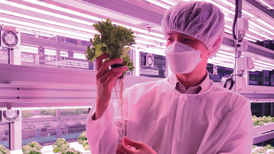 The latest CEA Research - Greenhouse Management