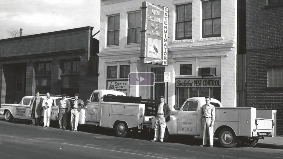 Online Extra: Big Blue Bug Solutions Throughout the Years - Pest