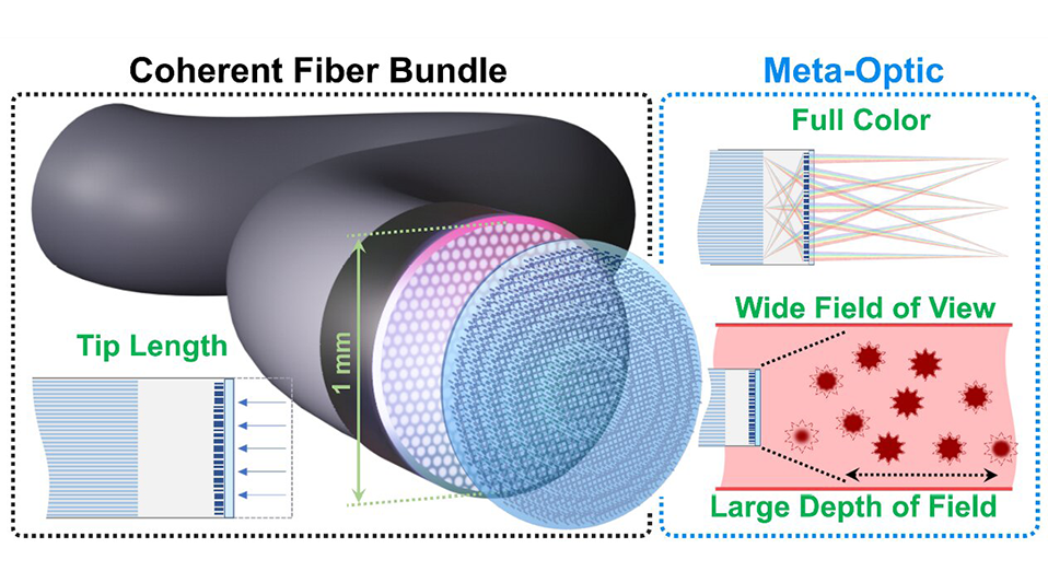 Shrinking endoscopes with metaloptical fibers Today's Medical