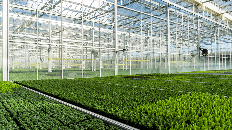 Gotham Greens opens second facility in Colorado Produce Grower