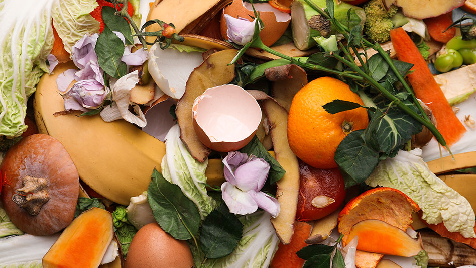 Maine offering grants for food waste study Recycling Today