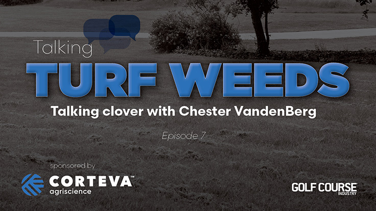 Talking Turf Weeds 7: Clover with Chester VandenBerg Golf Course Industry Talking Turf Weeds 7: Clover with Chester VandenBerg Golf Course Industry