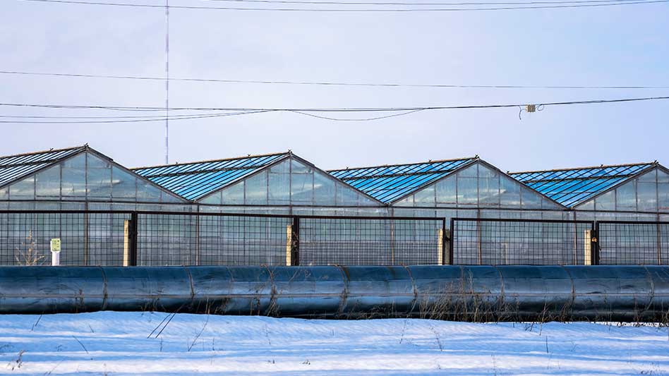 how-to-protect-your-greenhouse-from-wind-rain-and-snow-cannabis