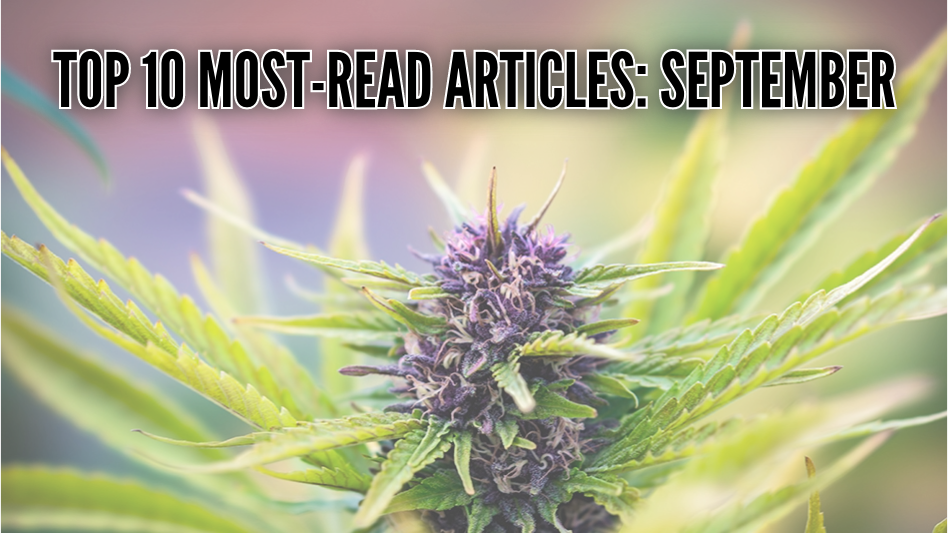 Rounding Up Our Most-Read Articles - Cannabis Business Times