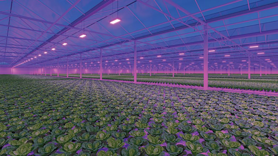 Creating a comprehensive lighting plan - Greenhouse Management