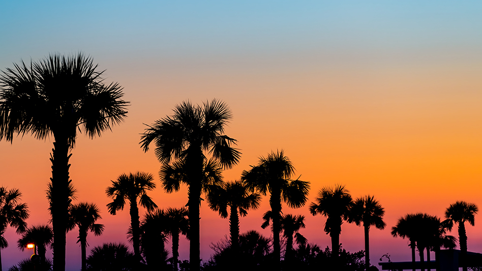 Curaleaf Opens Second Dispensary in Sarasota Cannabis Business Times