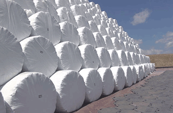round bales covered in white plastic