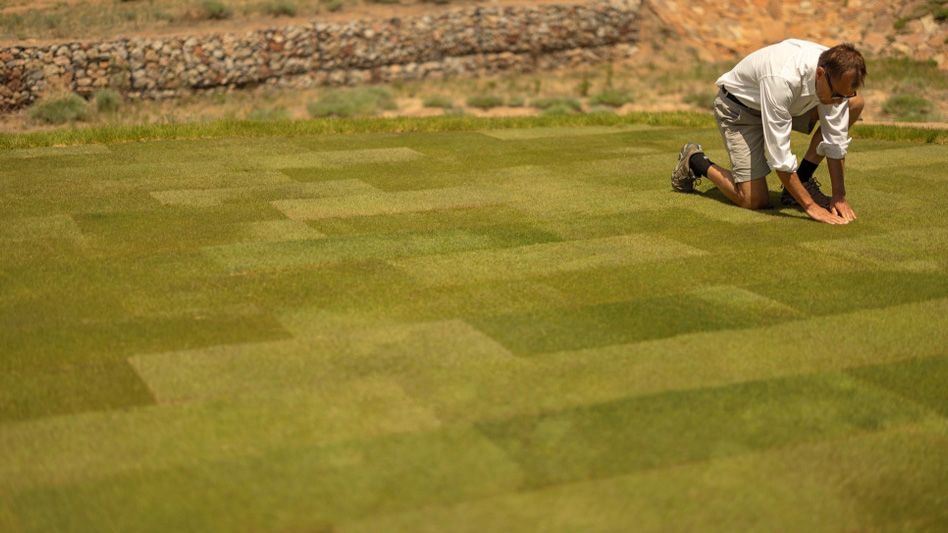USGA funds 15 new research projects - Golf Course Industry