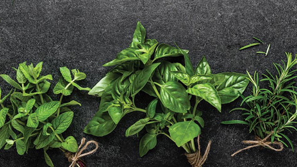 The year of herbs - Produce Grower