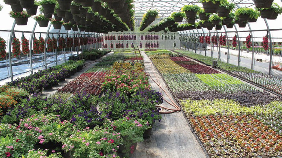 Simplifying spring crops with a group mentality - Greenhouse Management