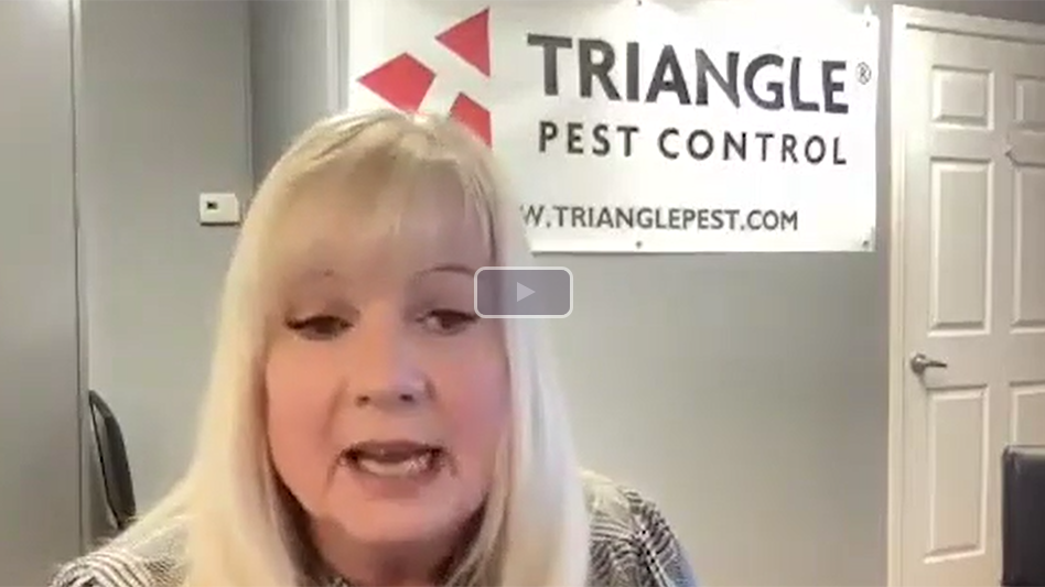 Triangle Pest Control Launches Monthly Community Service Program Pest