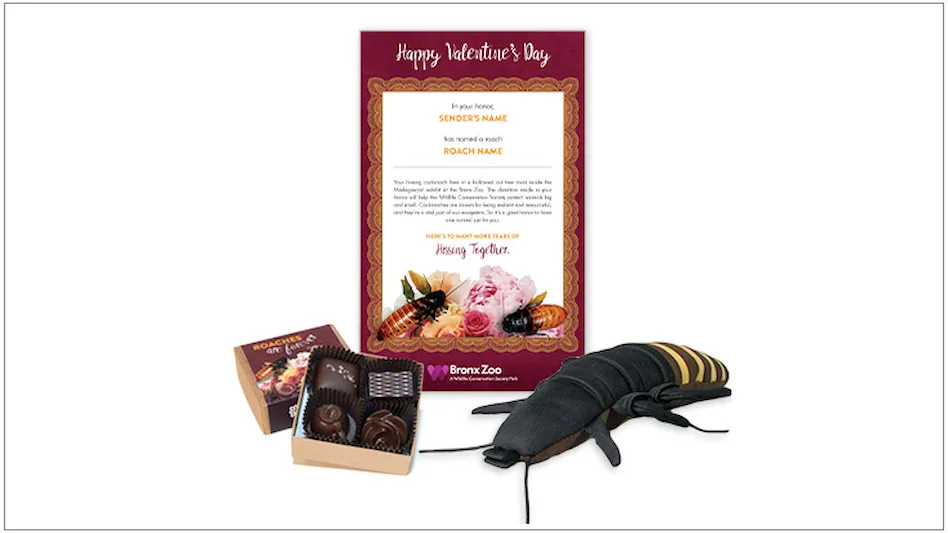 The Bronx Zoo Continues Valentine's Day Tradition to 'Name a Roach' Pest Control Technology