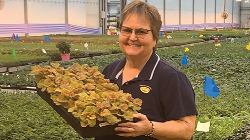 “Keep plugging away” - Greenhouse Management