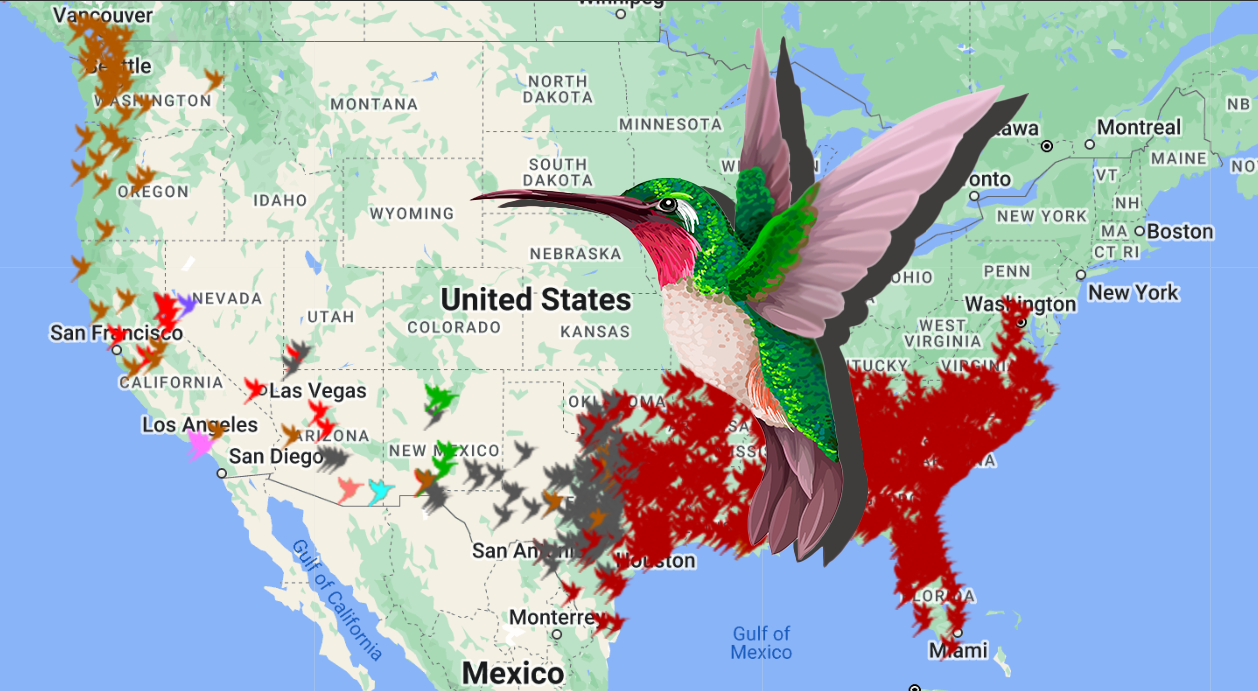 Now is the time to reach hummingbird fans - Garden Center