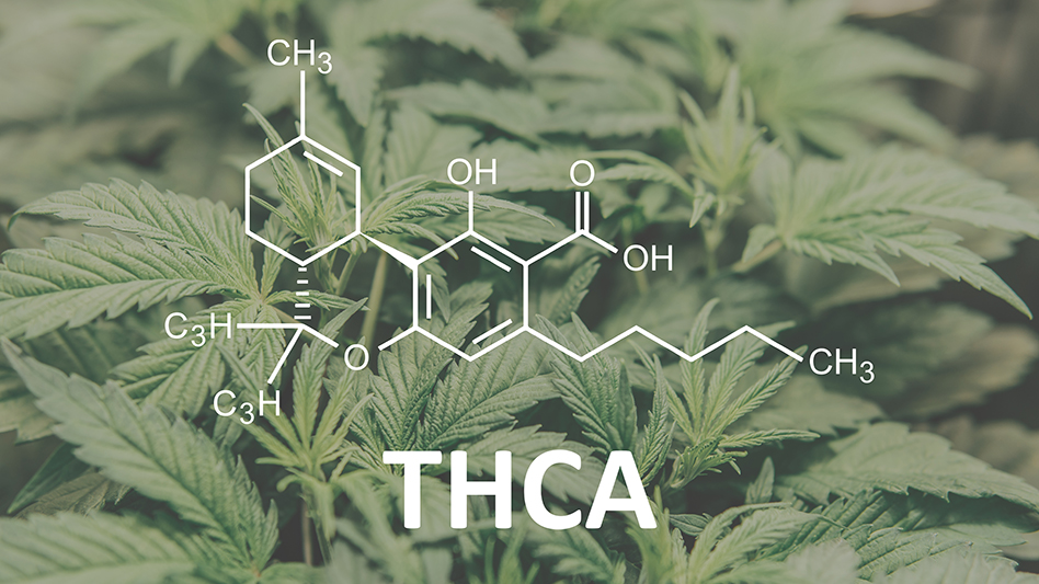 THCA in the Farm Bill Amendment Goes Far Beyond Closing ‘Loopholes