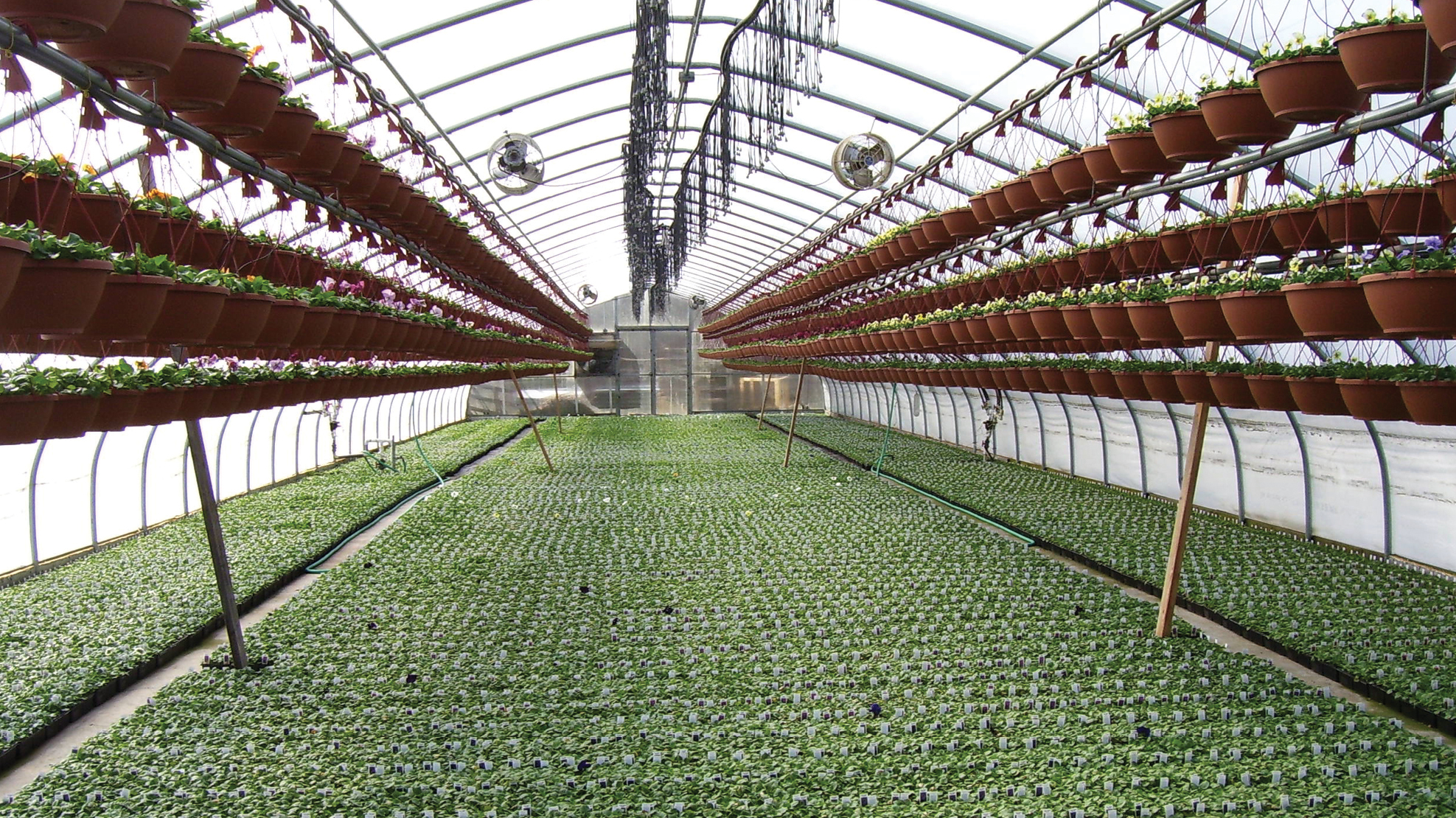 Implementing Greenhouse Shelving To Optimize Growing Space | GrowSpan, image size:1975x1110