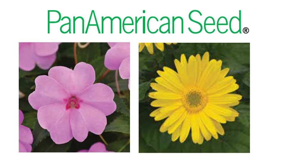 PanAmerican Seed - Produce Grower