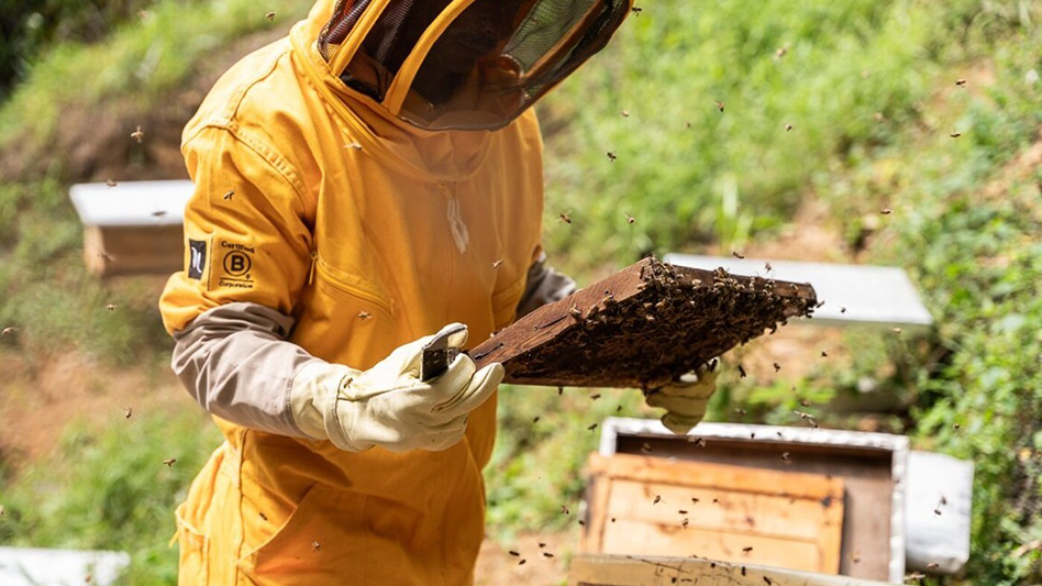 Nespresso Launches New Products as Result of Sustainable Coffee Farming