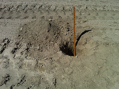 Figure 1 - Measuring depth of daily cover soil at approximately 1.5 feet (18 inches).