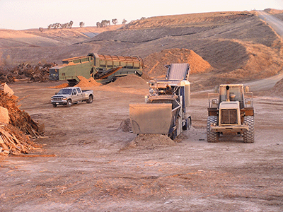 Wood processing layout